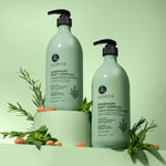 Luseta Rosemary & Mint Complex Refreshing Scalp Streghtening Set: 500 ml Shampoo, 500 ml Conditioner, 100 ml Serum
